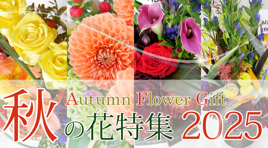 2025年秋の花特集