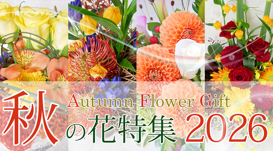 2026年秋の花特集