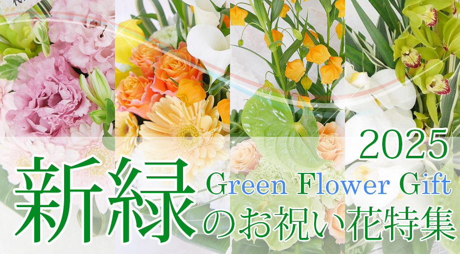 新緑のお祝い花特集2025