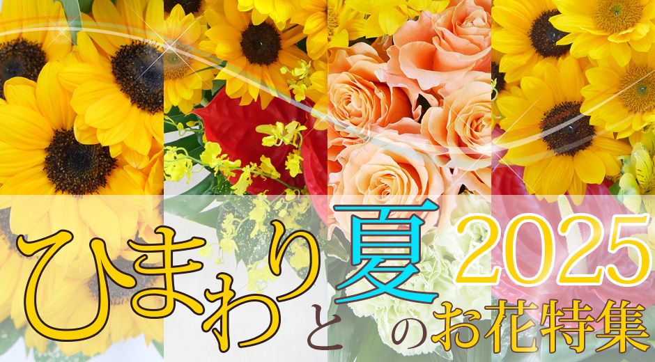 2025ひまわりと夏の花特集