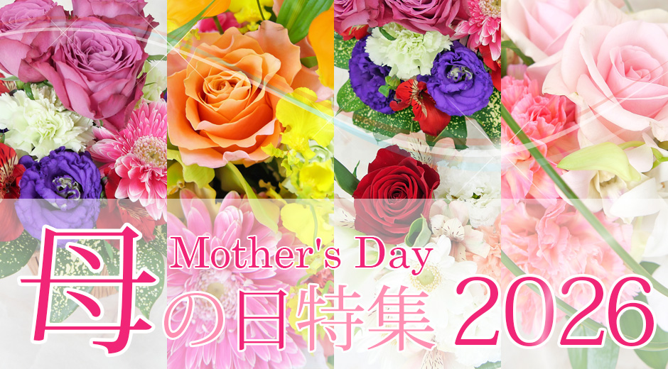 Mother's Day2026～母の日特集