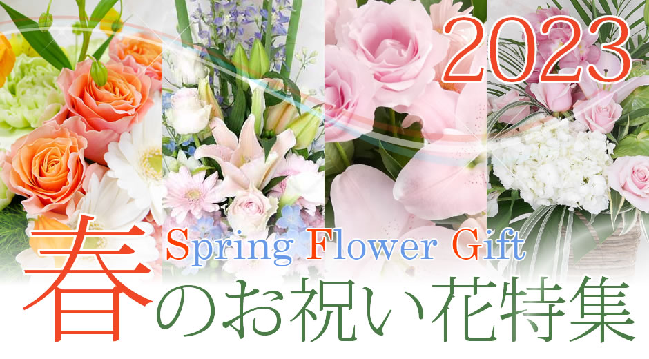 Spring Flower Gift 2023  春のお祝い花特集
