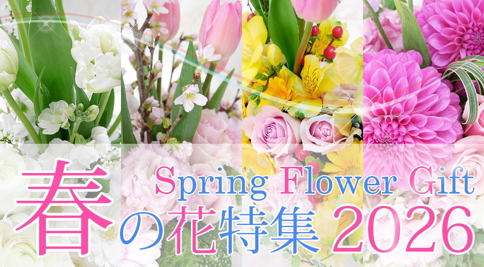 Spring Flower Gift 2026春の花特集