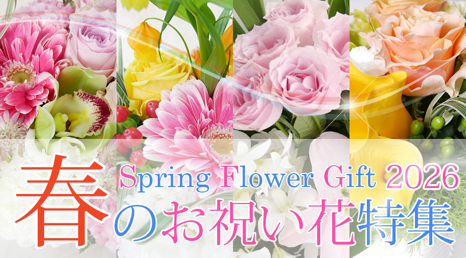 Spring Flower Gift 2026春のお祝い花特集