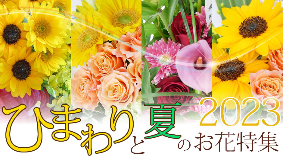 2023ひまわりと夏の花特集