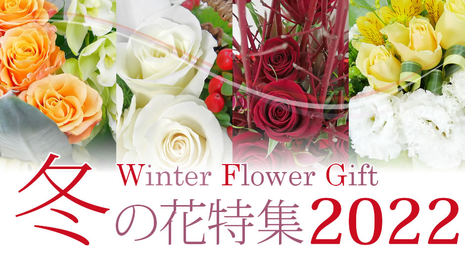 2022 Winter Special 冬のお祝い花特集