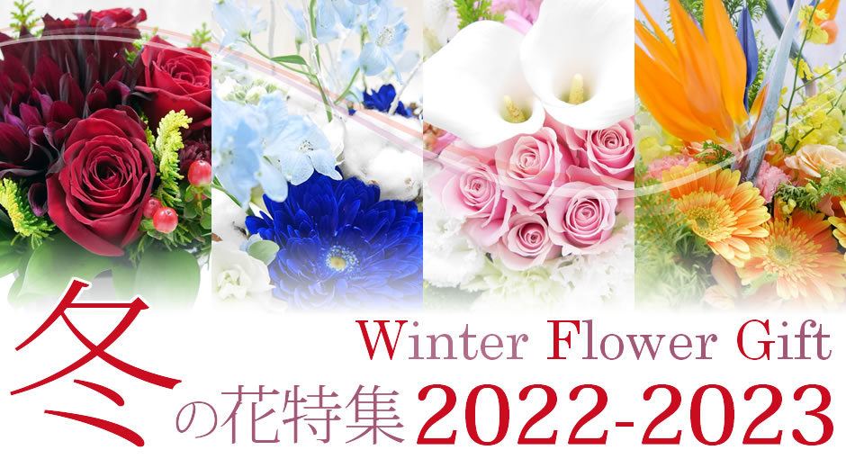 2022-2023 Winter Special 冬のお祝い花特集