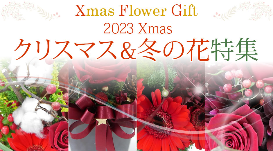 2023Xmasクリスマス&冬の花特集