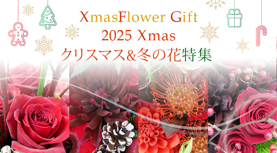 2025Xmasクリスマス&冬の花特集