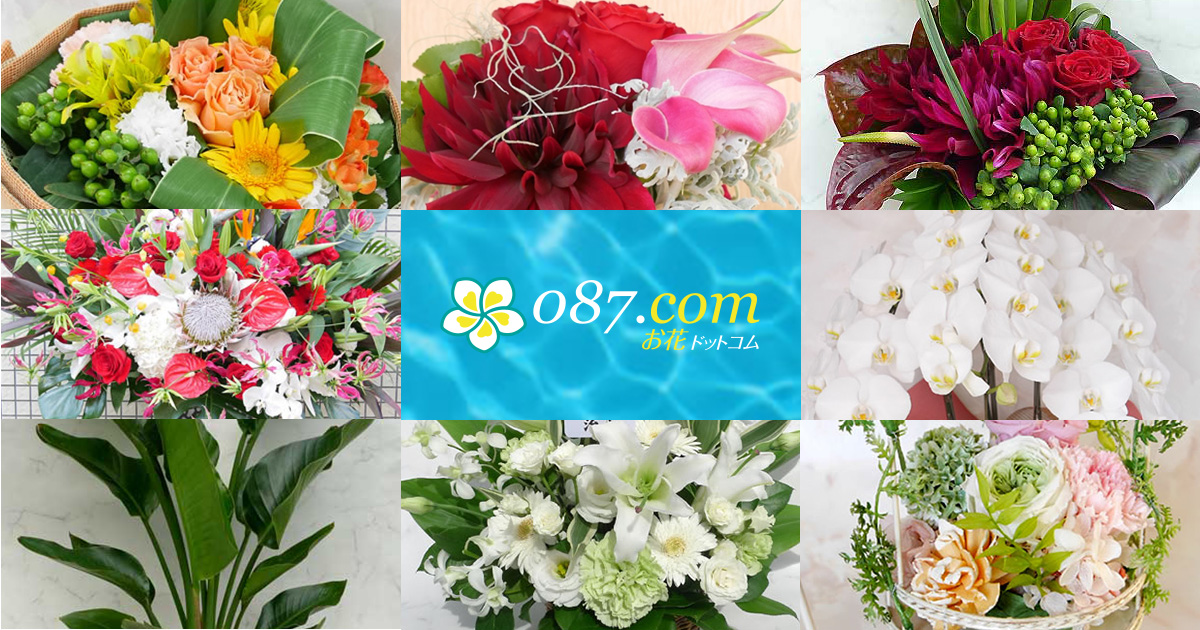 087.com お花ドットコム】開店祝い花・楽屋花・お花のギフト