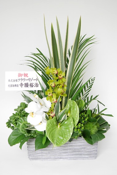 開店祝い 開業祝い お花ドットコム 祝花 胡蝶蘭 スタンド花を東京 港区 赤坂 青山から全国へお届け お花ドットコム