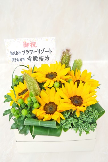 21ひまわりと夏の花特集 お花ドットコム