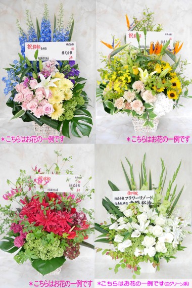 ���ե����ꥹ�Ȥˤ��ޤ������ǥ����ʡ��������E