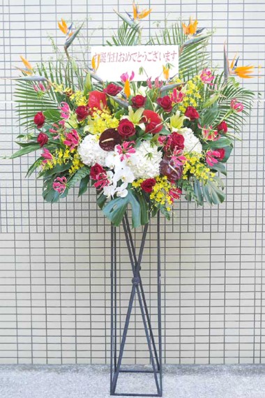 �ǥ����ʡ����������(����������)