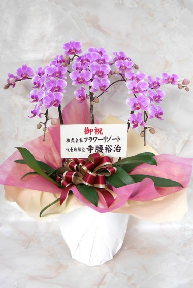 �ե���Υߥǥ�(�����ǥ��󥰥ץ���ʡ���)