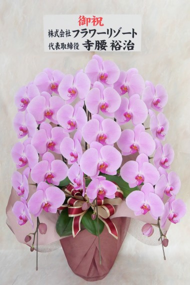 ��ĳ�� (�ԥ�)�������������