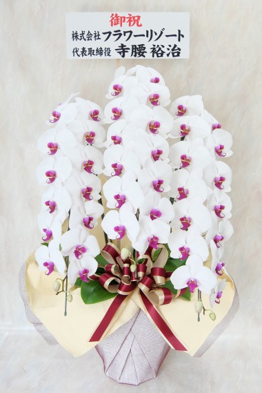 ��ĳ�� (�֥�å�)�ǥ�å���