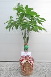 商品画像サムネイル