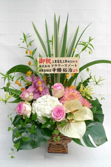 オススメ商品画像