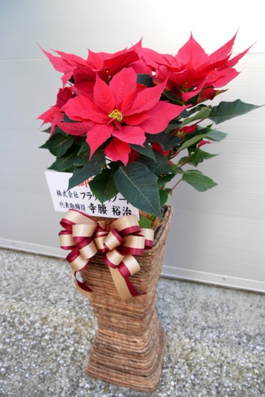 オススメ商品画像