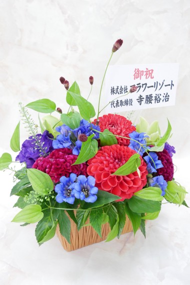 オススメ商品画像