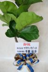 商品画像サムネイル