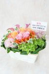 商品画像サムネイル