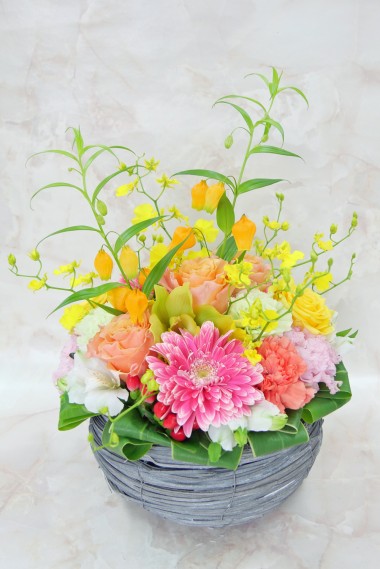 オススメ商品画像