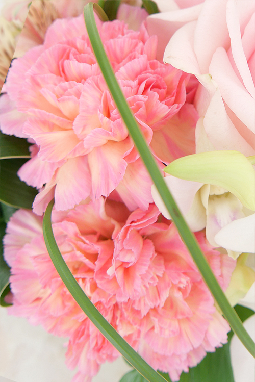 オレンジミナミ