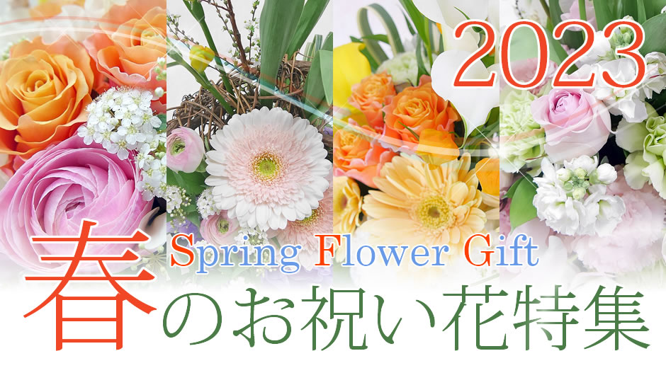 Spring Flower Gift 2023  春のお祝い花特集