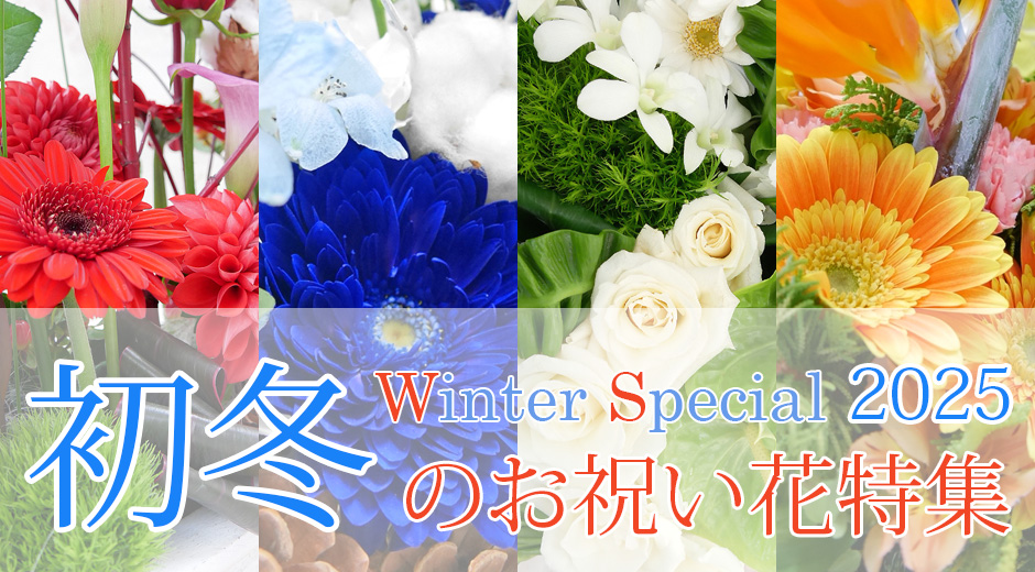 2025初冬のお祝い花特集