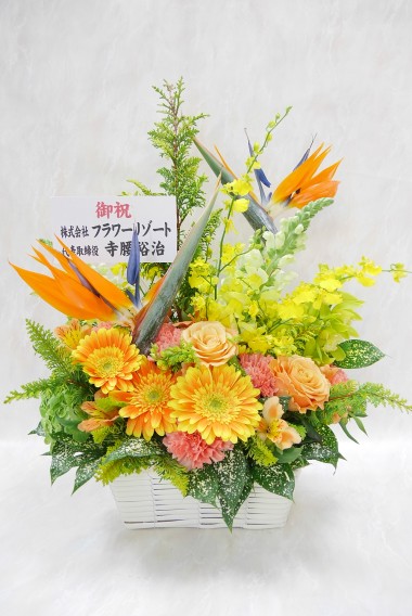 ☆冬の花☆buon amico～アミーゴ～／生花アレンジ