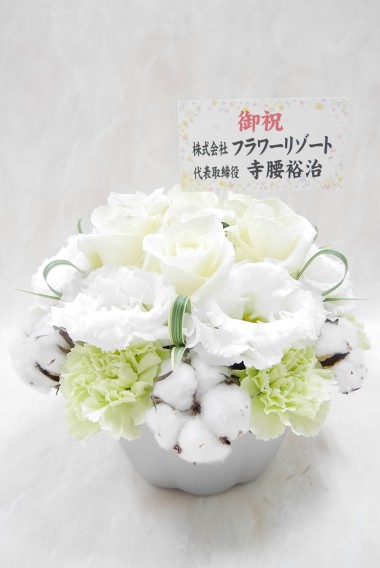 ☆冬の花☆MOCO / 生花アレンジ